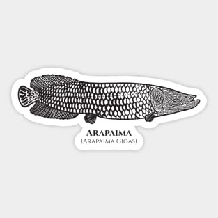 Arapaima with Common and Latin Names - fish design - black and white Sticker